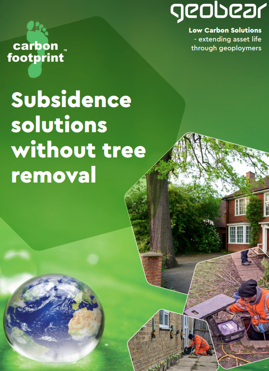 Subsidence and Trees Geobear UK