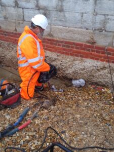 Geobear on site